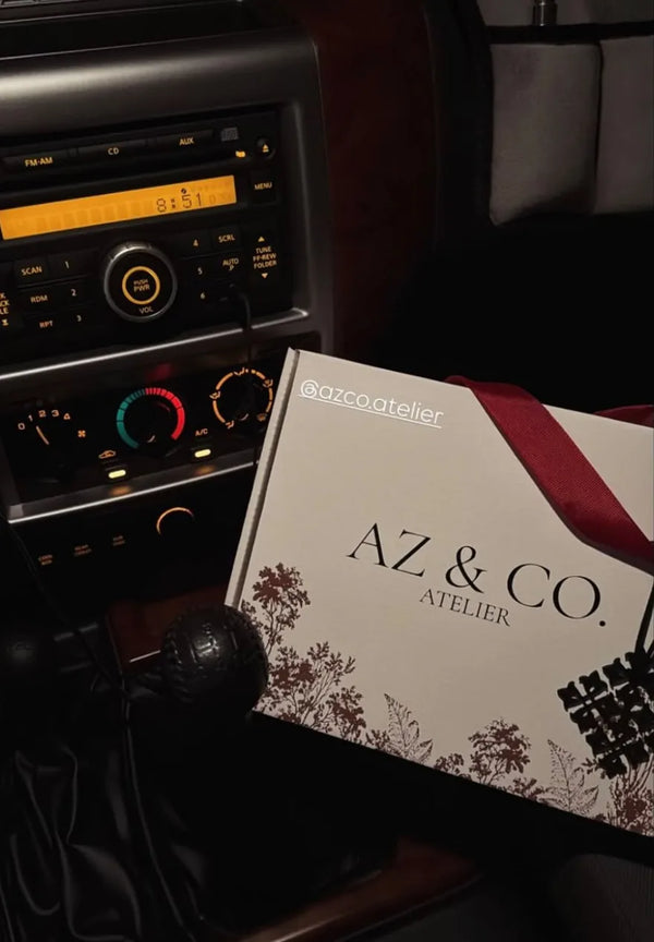 Customer's Instagram story with the AZ and CO box in the car